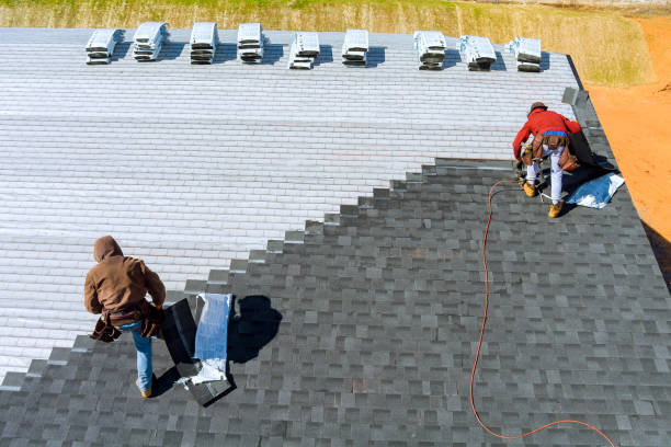 Best Metal Roofing Contractor  in Lacon, IL