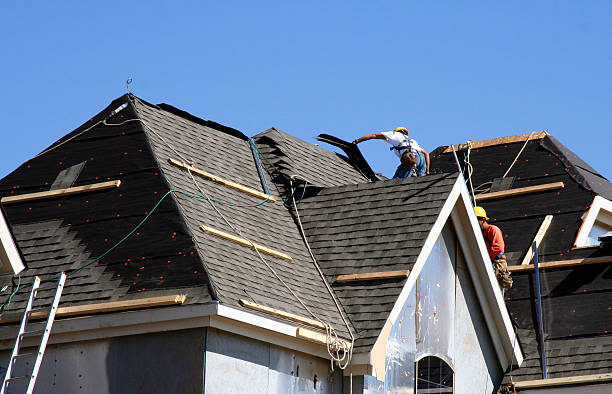 Best Roof Gutter Cleaning  in Lacon, IL