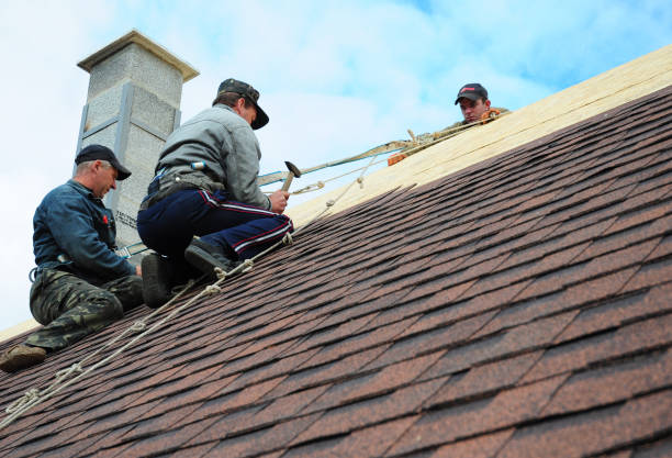 Best Local Roofing Companies  in Lacon, IL